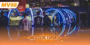 Mẹo cược Esports