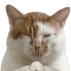 liên kết nhanh vơi mv88